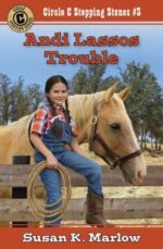 Andi Lassos Trouble book cover