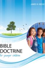 Bible Doctrine for Younger Children book cover