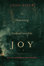 The Dawning of Indestructible Joy book cover