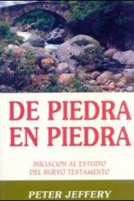 De Piedra en Piedra Grace and Truth Books