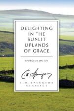 Delighting in the Sunlit Uplands of Grace book cover