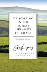 Delighting in the Sunlit Uplands of Grace book cover