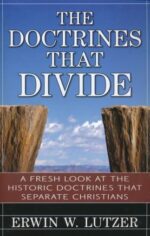 The Doctrines that Divide book cover