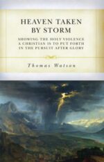 Heaven Taken by Storm book cover