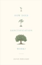 How Does Sanctification Work book cover