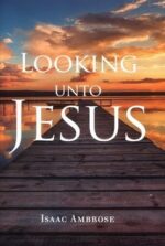 Looking Unto Jesus book cover