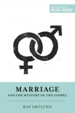 Marriage and the Mystery of the Gospel book cover