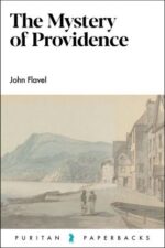 The Mystery of Providence book cover