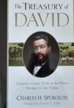 Treasury of David book cover