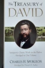 Treasury of David book cover