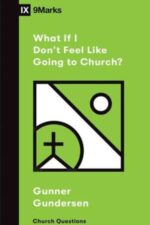 What If I Don't Feel Like Going to Church book cover