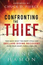 Confronting the Thief