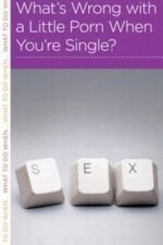 What's Wrong With a Little Porn When You're Single? Grace and Truth Books